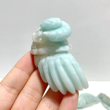 20 Pieces Caribbean Calcite Sea Animals Carving