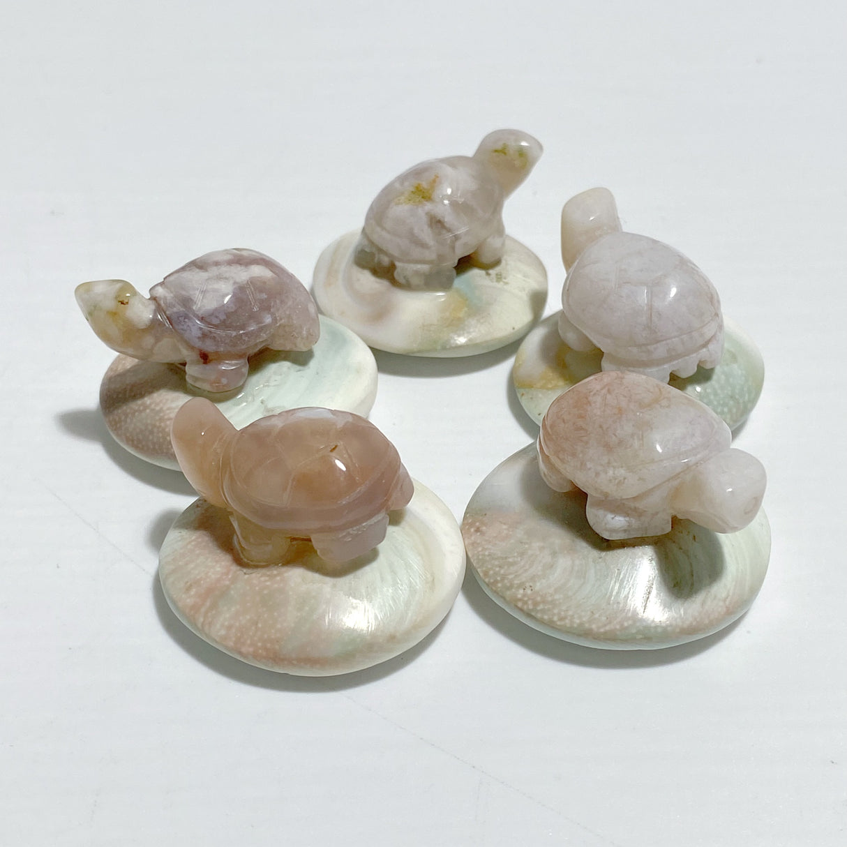 5 Types Mini Turtle On The Shell Fossil Wholesale Moss Agate Tiger Eye