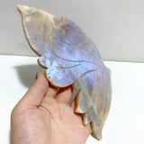 Moonstone Butterfly Wing Carving With Stand