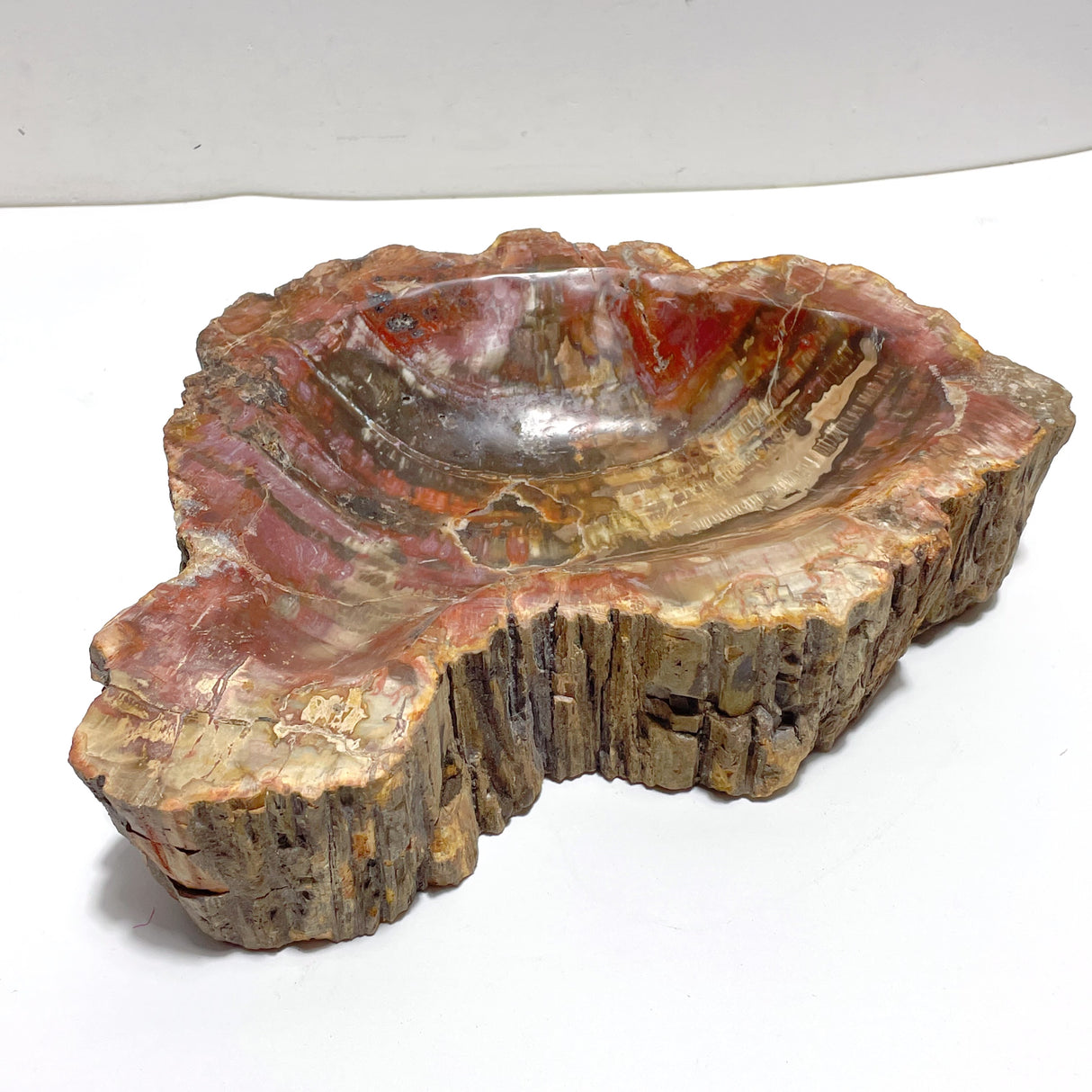 2 Pieces Large Petrified Wood Bowl