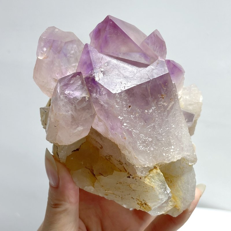 7 Pieces Amethyst Cluster Specimen - Wholesale Crystals