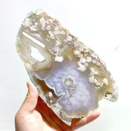 7 Pieces Beautiful Large Green Sakura Flower Agate Slab - Wholesale Crystals
