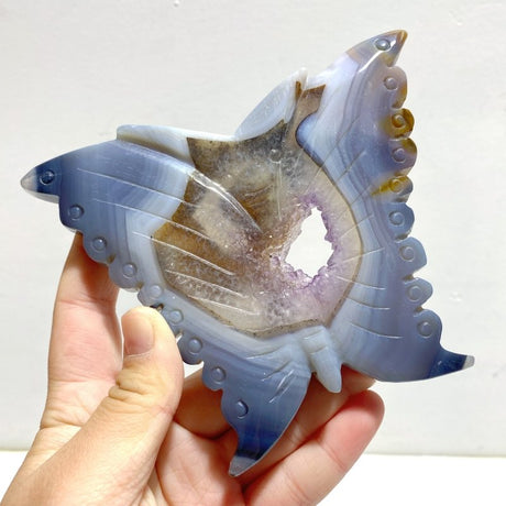 7 Pieces Geode Druzy Agate Butterfly Carving - Wholesale Crystals