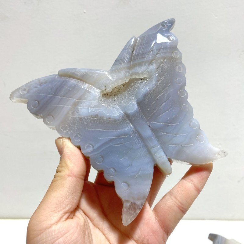 7 Pieces Geode Druzy Agate Butterfly Carving - Wholesale Crystals