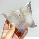 7 Pieces Geode Druzy Agate Butterfly Carving - Wholesale Crystals