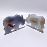 7 Pieces Geode Druzy Agate Rhino Carving - Wholesale Crystals