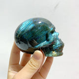 7 Pieces Labradorite Skull Carving - Wholesale Crystals