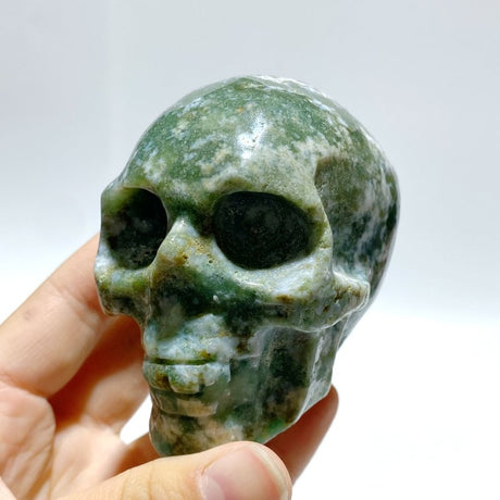7 Pieces Moss Agate Skull Carving - Wholesale Crystals