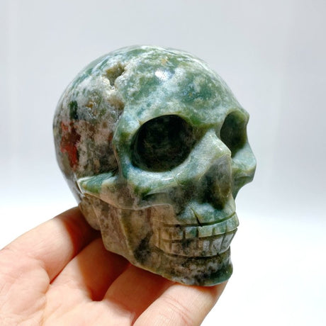 7 Pieces Moss Agate Skull Carving - Wholesale Crystals