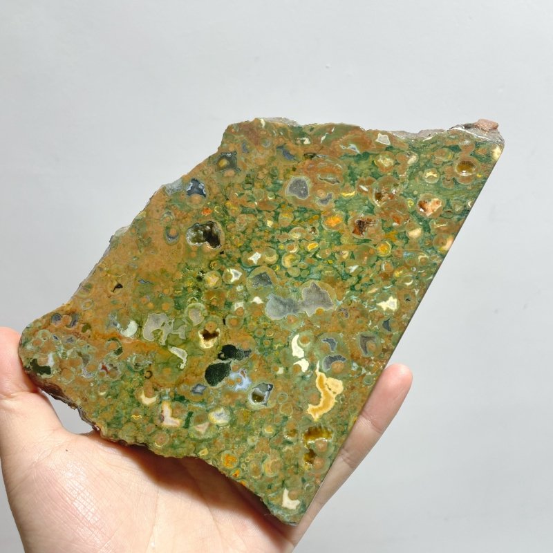 7 Pieces Peacock Eye Rain Forest Jasper Slab - Wholesale Crystals
