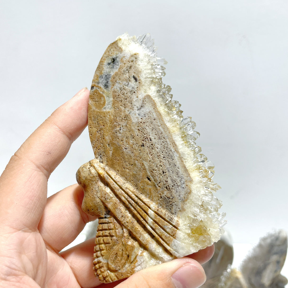 11 Pieces Clear Quartz Cluster Butterfly Fairy Carving