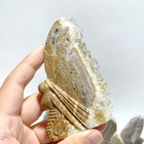 11 Pieces Clear Quartz Cluster Butterfly Fairy Carving
