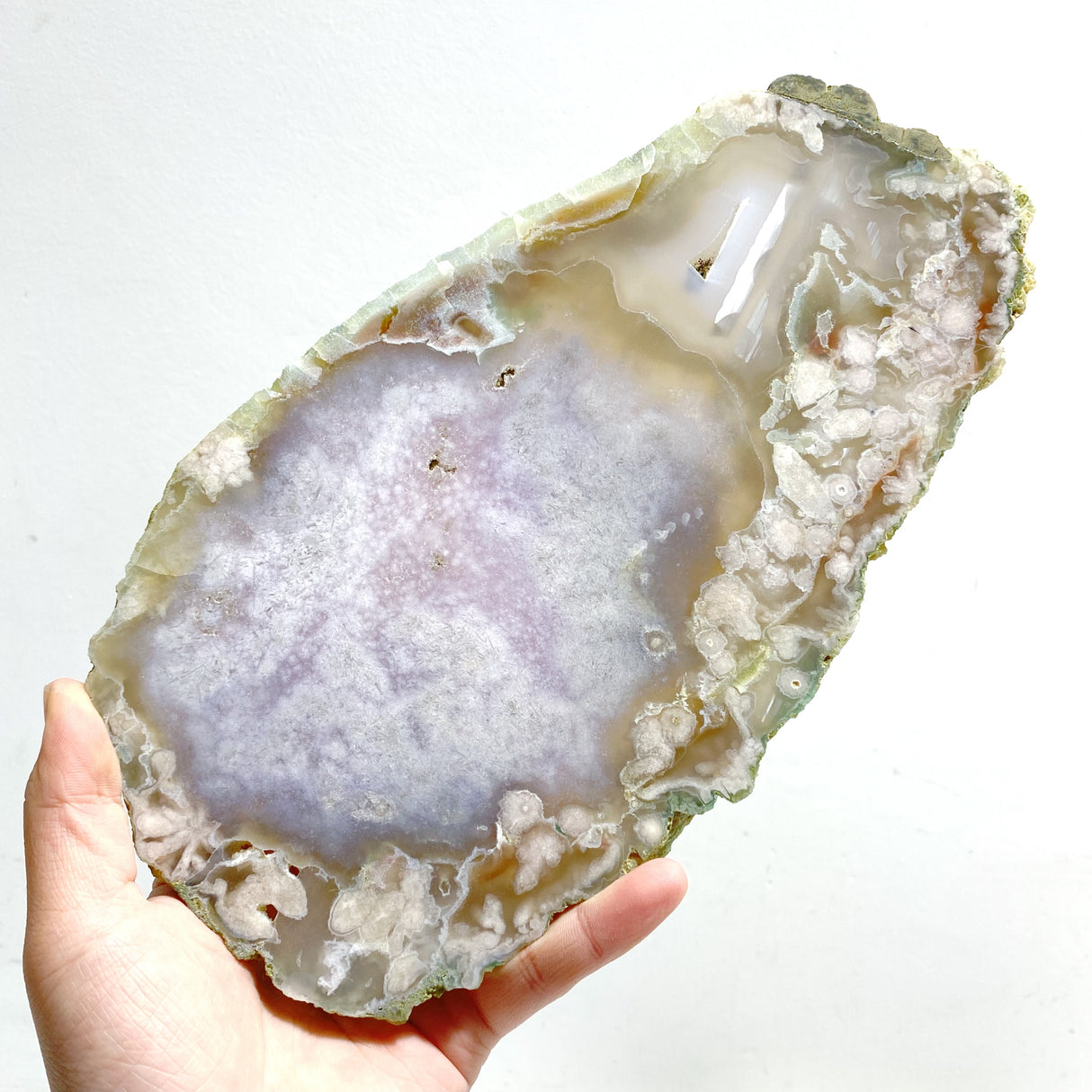 5 Pieces Beautiful Large Green Sakura Flower Agate Slabs