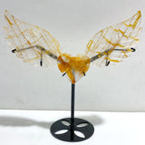 Golden Hematoid Quartz Heart Wing Carving With Stand Fire Quartz