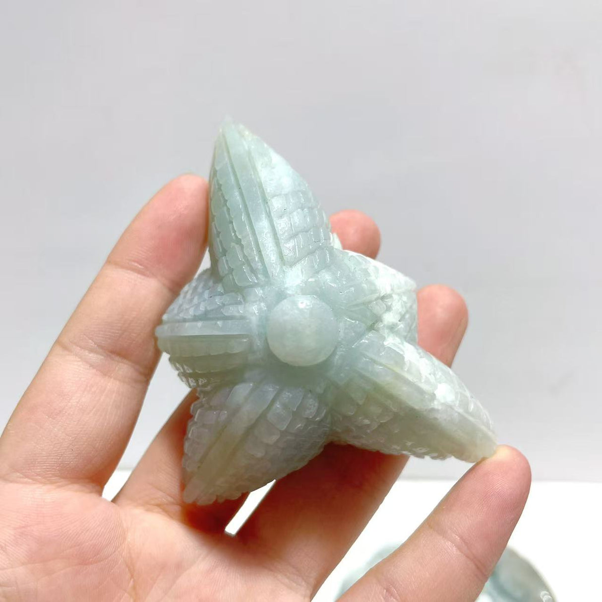 20 Pieces Caribbean Calcite Sea Animals Carving
