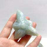 20 Pieces Caribbean Calcite Sea Animals Carving