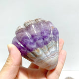 8 Pieces Amethyst Mixed Stripe Agate Shell Carving - Wholesale Crystals