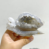 8 Pieces Geode Druzy Agate Snail Carving - Wholesale Crystals