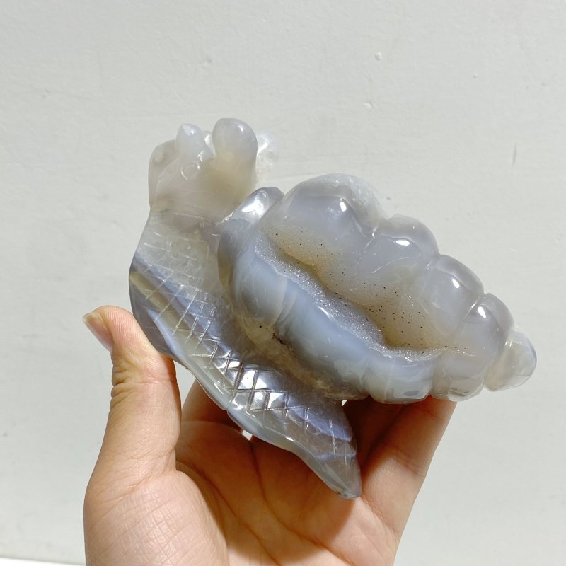 8 Pieces Geode Druzy Agate Snail Carving - Wholesale Crystals