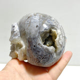 8 Pieces Geode Druzy Morocco Agate Skull Carving 1 - Wholesale Crystals