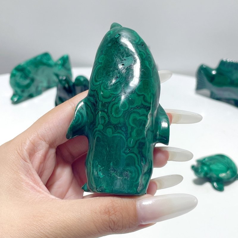 8 Pieces Malachite Sea Animals Carving - Wholesale Crystals