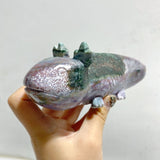8 Pieces Ocean Jasper Newt Carving -Wholesale Crystals