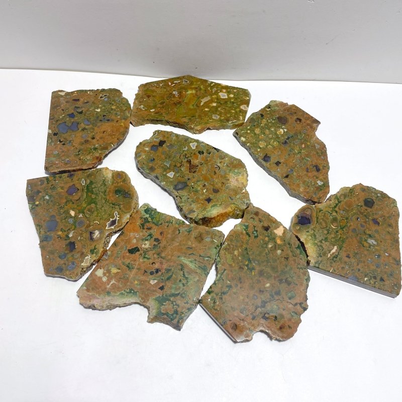 8 Pieces Peacock Eye Rain Forest Jasper Slab