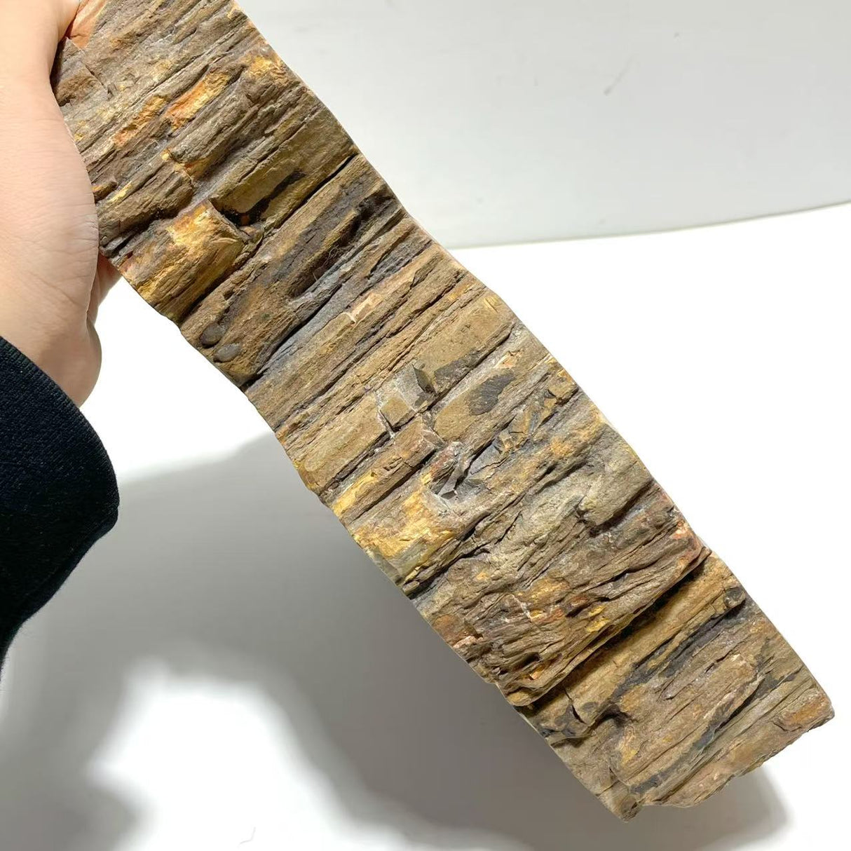 2 Pieces Large Petrified Wood Bowl