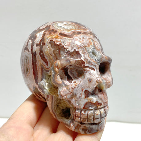 8 Pieces Geode Druzy Morocco Agate Skull Carving #2