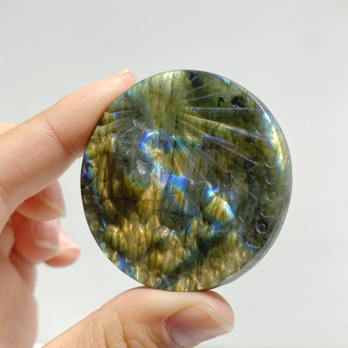 17 Pieces Labradorite Constellation Carving Clearance