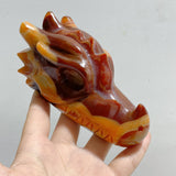 7 Pieces Carnelian Dragon Head Carving
