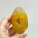 9 Pieces Beautiful Agate Tiger Carving - Wholesale Crystals