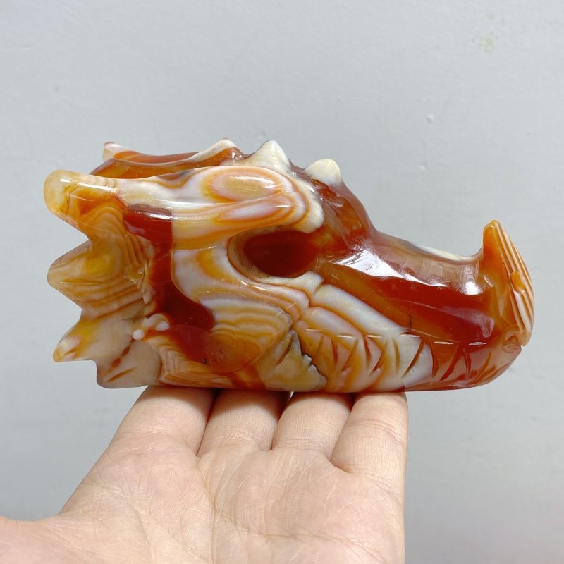 9 Pieces Carnelian Dragon Head Carving -Wholesale Crystals