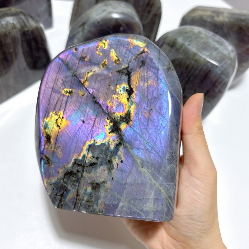 9 Pieces Large Purple Labradorite Free Form - Wholesale Crystals