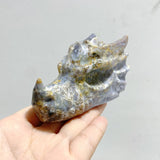 9 Pieces Ocean Jasper Dragon Head Carving Closeout - Wholesale Crystals