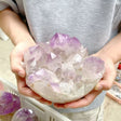 9 Pieces Raw Amethyst Cluster Polished Bottom Egg Shape (Sea Freight Only) -Wholesale Crystals