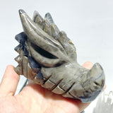 10 Pieces Volcanic Agate Dragon Head Carving Closeout(UV-Reactive)