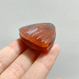 49 Pieces Africa Red Agate Sea Animals Carving