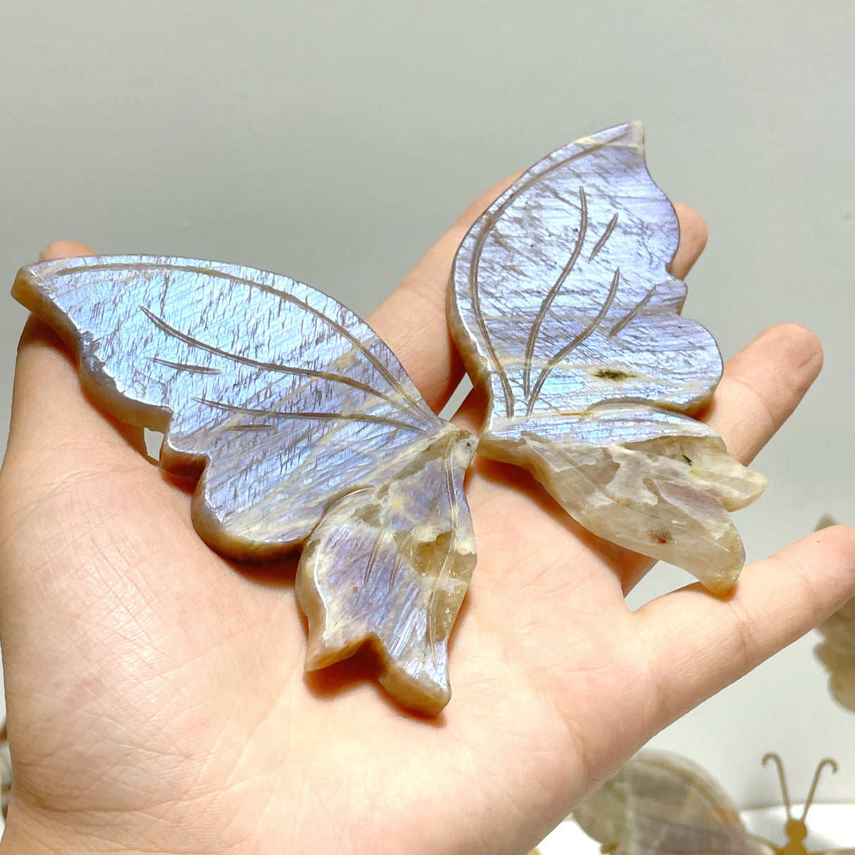 6 Pairs Sunstone Mixed Moonstone Butterfly Wing Carving With Stand
