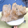 9.5KG Clear Quartz Cluster Mineral Specimen (Sea Freight Only) -Wholesale Crystals