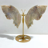 Moonstone Butterfly Wing Carving With Stand