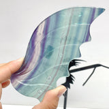Beautiful Rainbow Fluorite Flying Dragon Wing With Stand