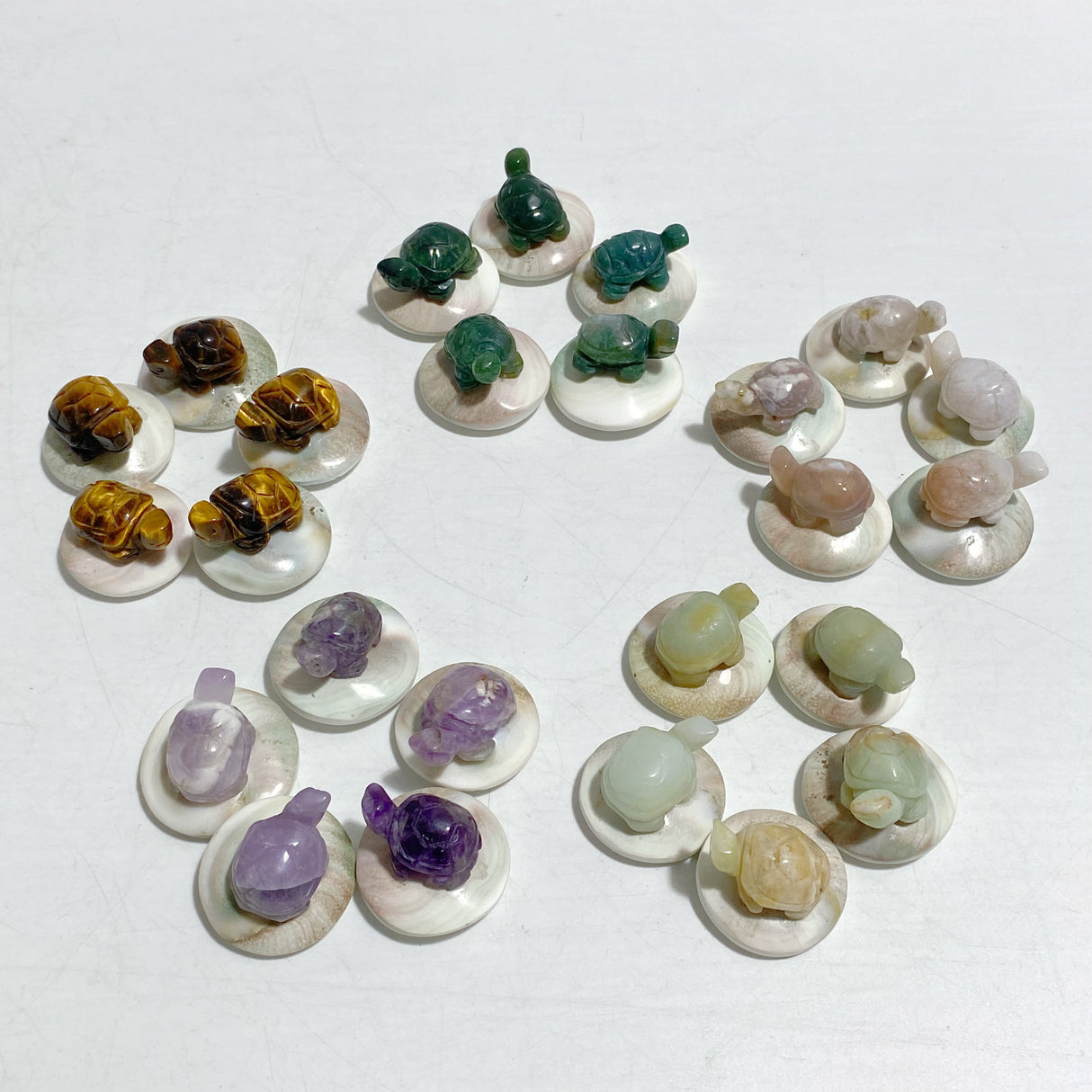 5 Types Mini Turtle On The Shell Fossil Wholesale Moss Agate Tiger Eye