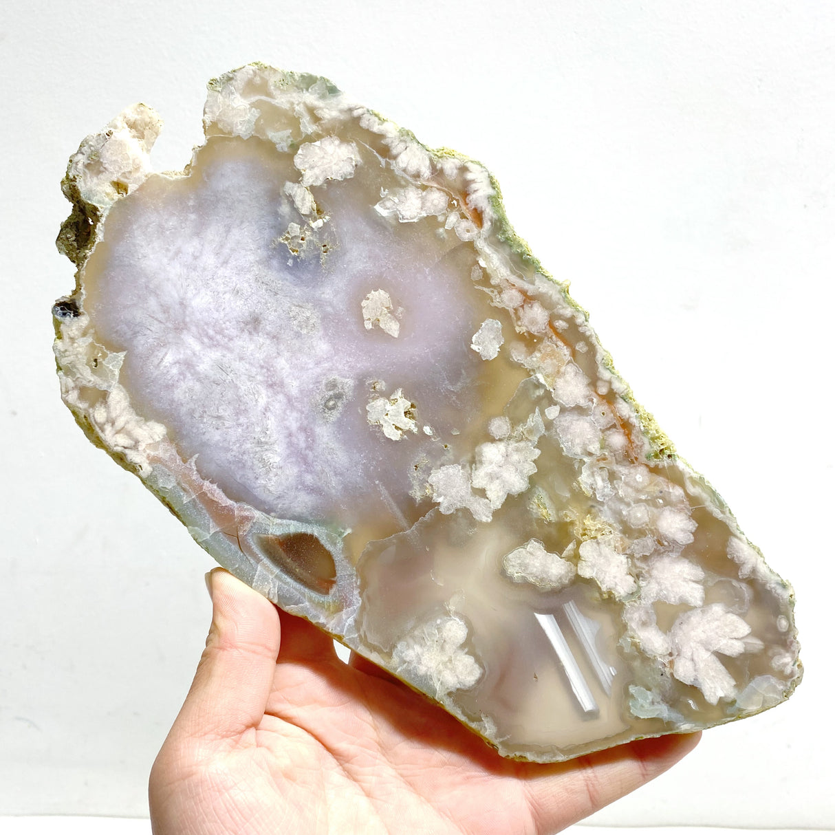 5 Pieces Beautiful Large Green Sakura Flower Agate Slabs