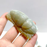 20 Pieces Caribbean Calcite Sea Animals Carving