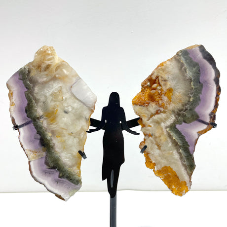 Unique Fluorite Mixed Pyrite Angel Wing With Stand