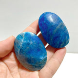 Apatite Palm Wholesale - Wholesale Crystals