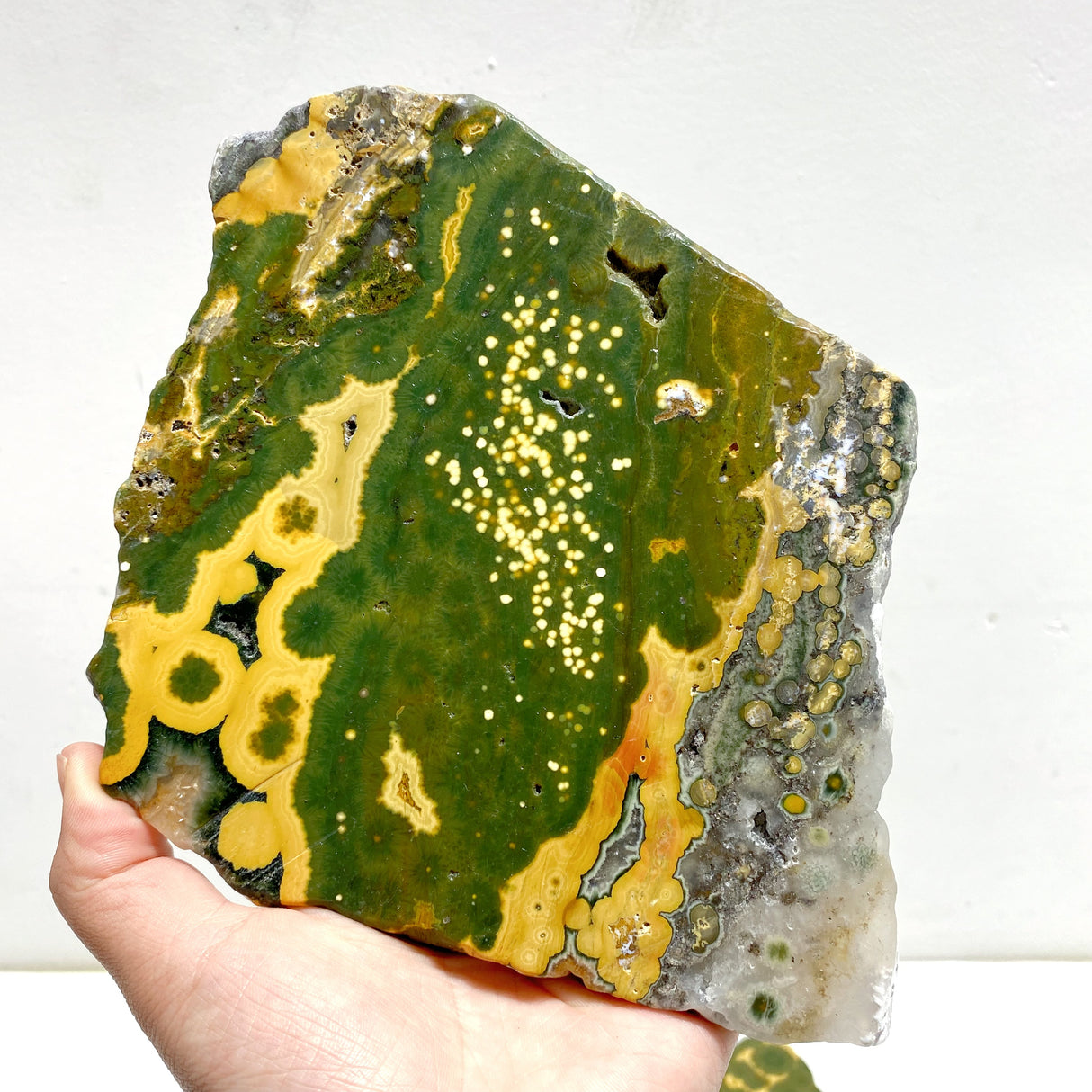 5 Pieces Large 8th Vein Ocean Jasper Slabs