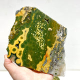5 Pieces Large 8th Vein Ocean Jasper Slabs