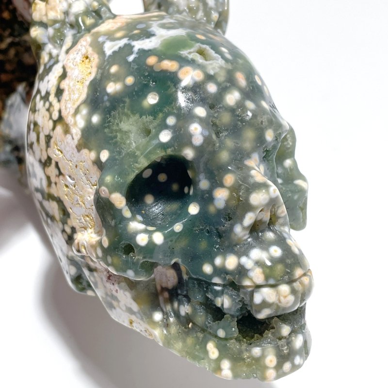 Beautiful 8th Vein Ocean Jasper Leopard Panther Skull Carving - Wholesale Crystals